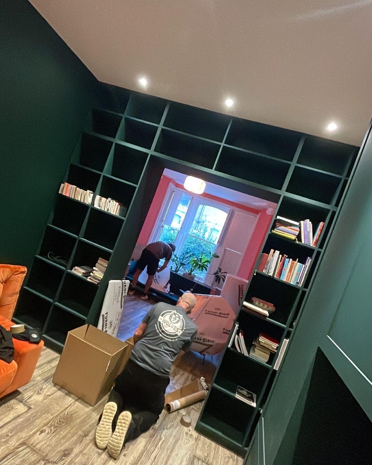 Wolves removals, full packing services.